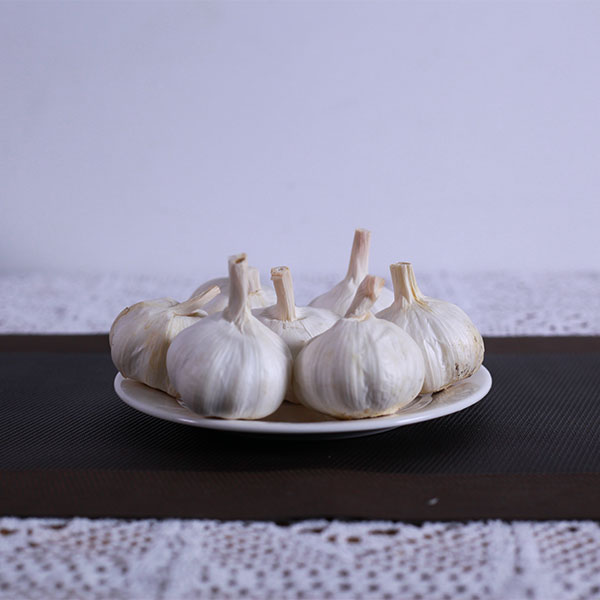 白蒜货源