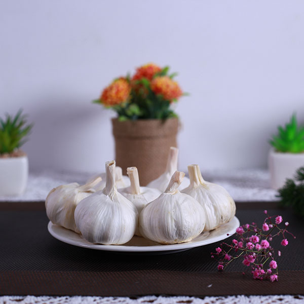 白蒜生产