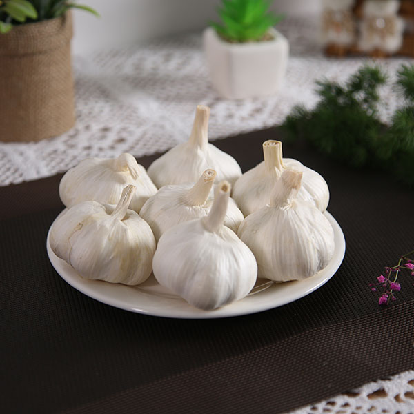白蒜直供