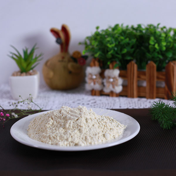 蒜粉100-120目生产