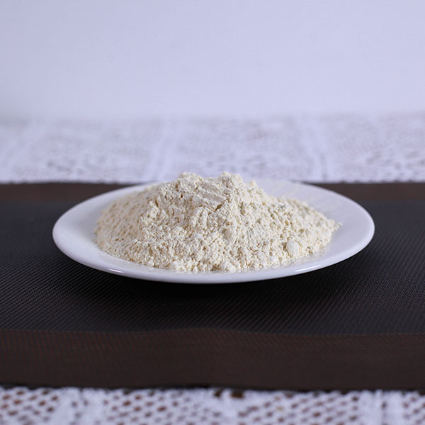 蒜粉100-120目销售