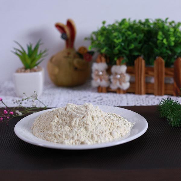 蒜粉100-120目直销