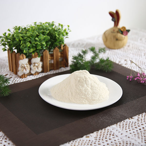 蒜粉80-200目货源