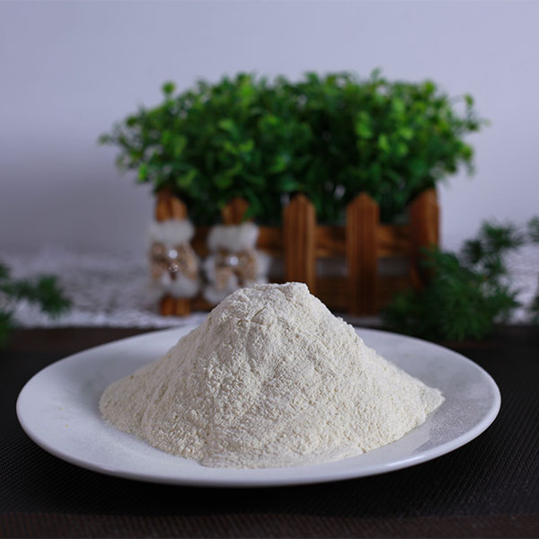 优质蒜粉80-200目